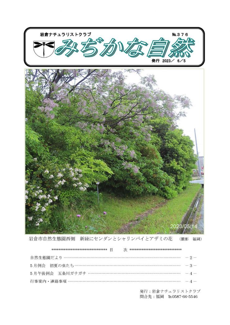 会報-みぢかな自然 6月号-1