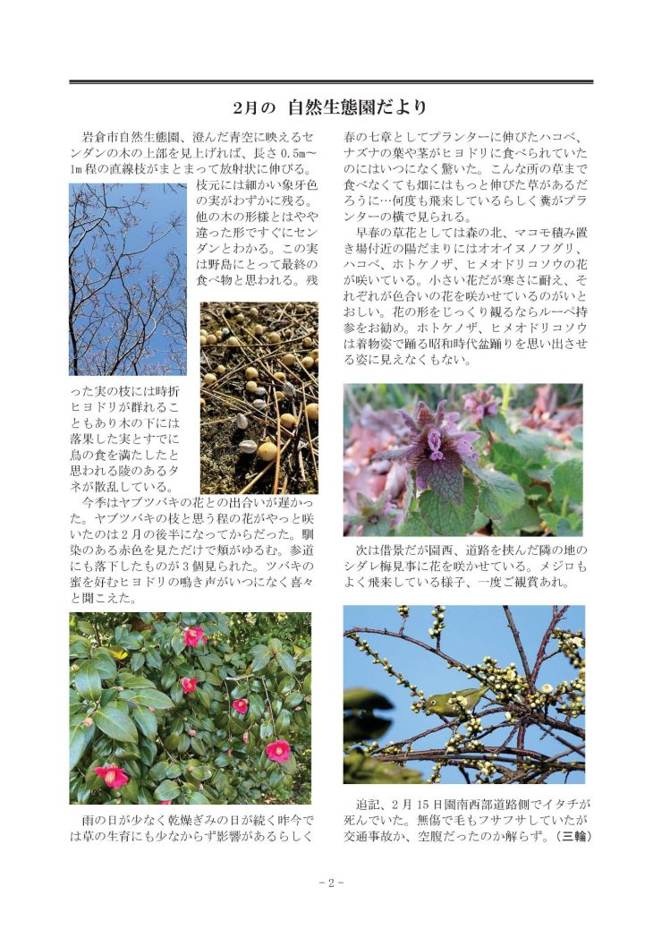  みぢかな自然第409号 2