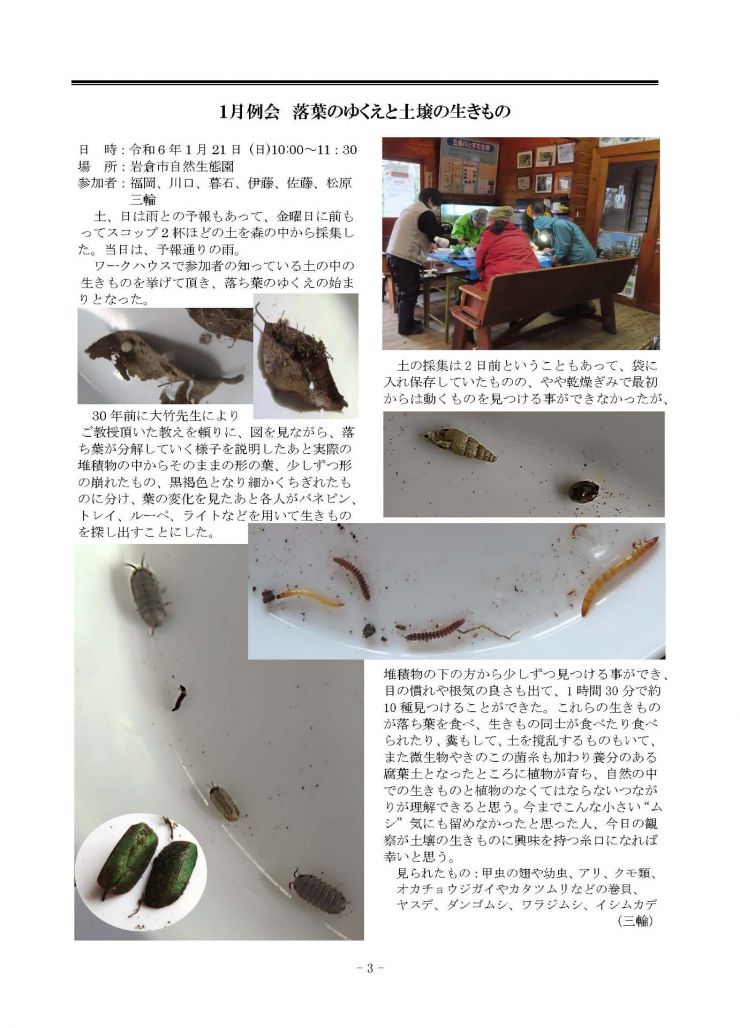 みぢかな自然第384号 3