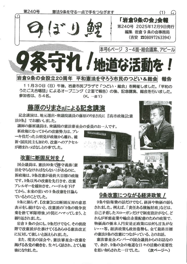 のぼり鯉 第240号-1