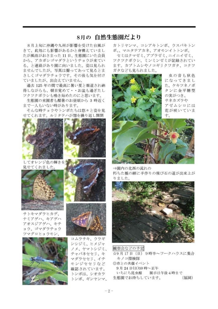 20230905 みじかな自然 第379号 2