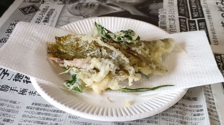 20240317春の野草を食べよう (10)