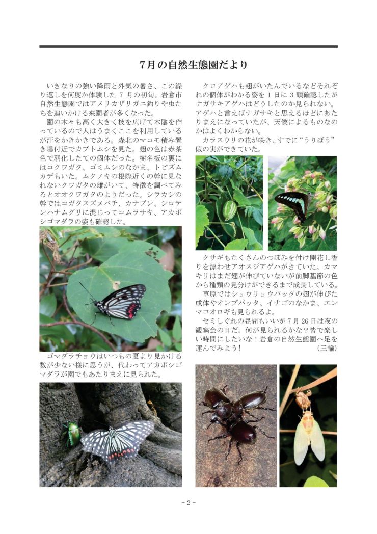 みぢかな自然第402号 2