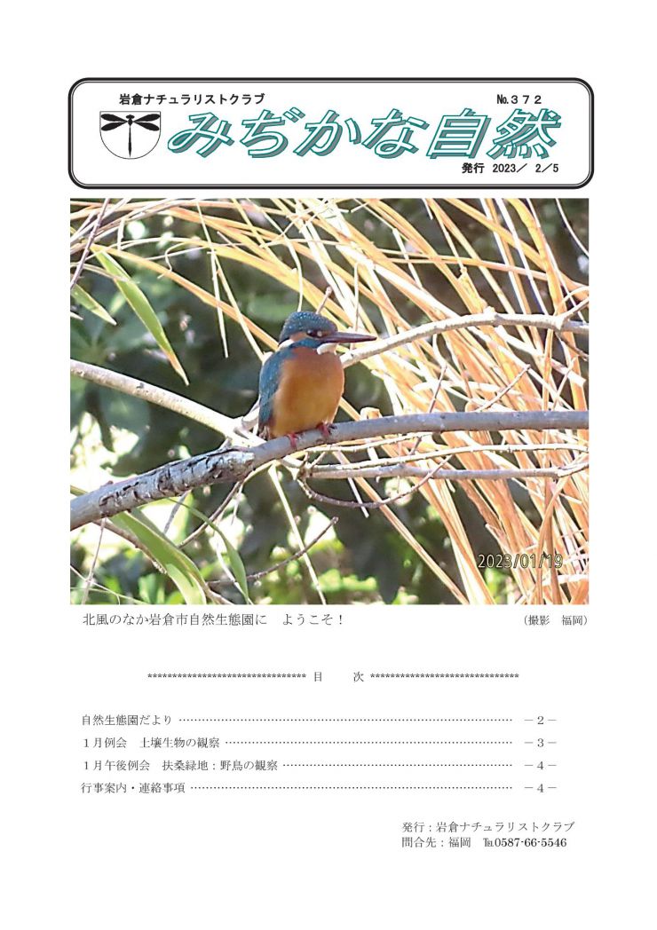 20230205 みぢかな自然第372号1