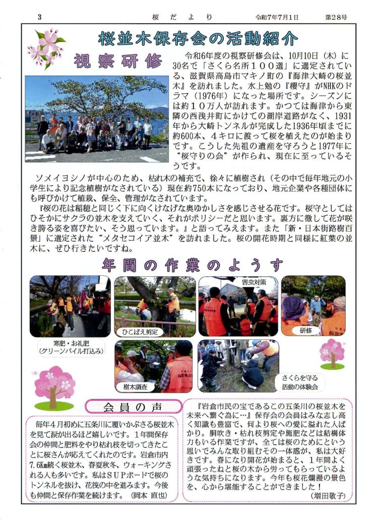 2025桜だより28号-3