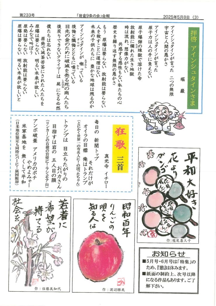 のぼり鯉233号 (3)