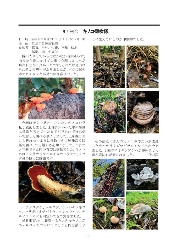 みぢかな自然第413号 3