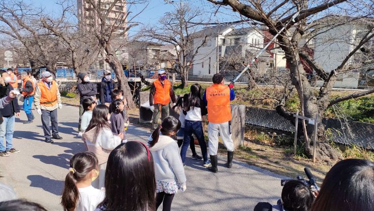 桜保全活動剪定
