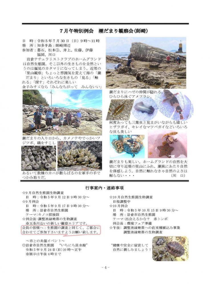 20230905 みじかな自然 第379号 4