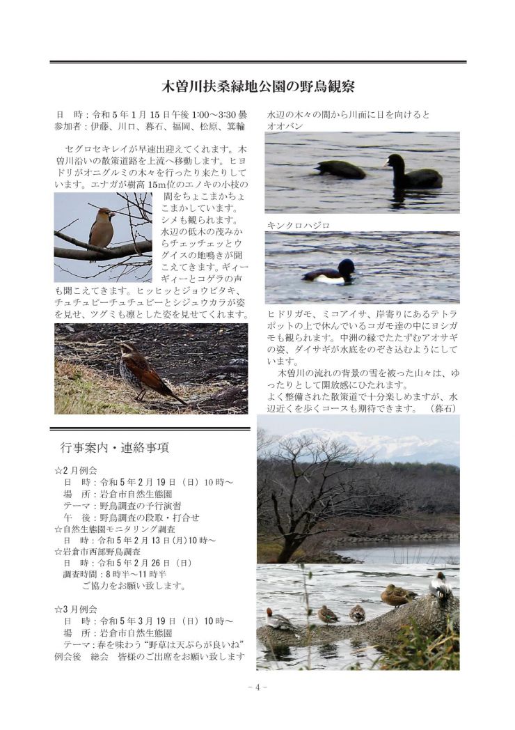 20230205 みぢかな自然第372号4