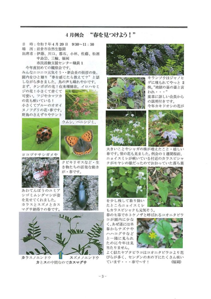 みぢかな自然 3ページ