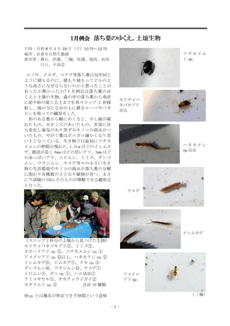  みぢかな自然第408号 3