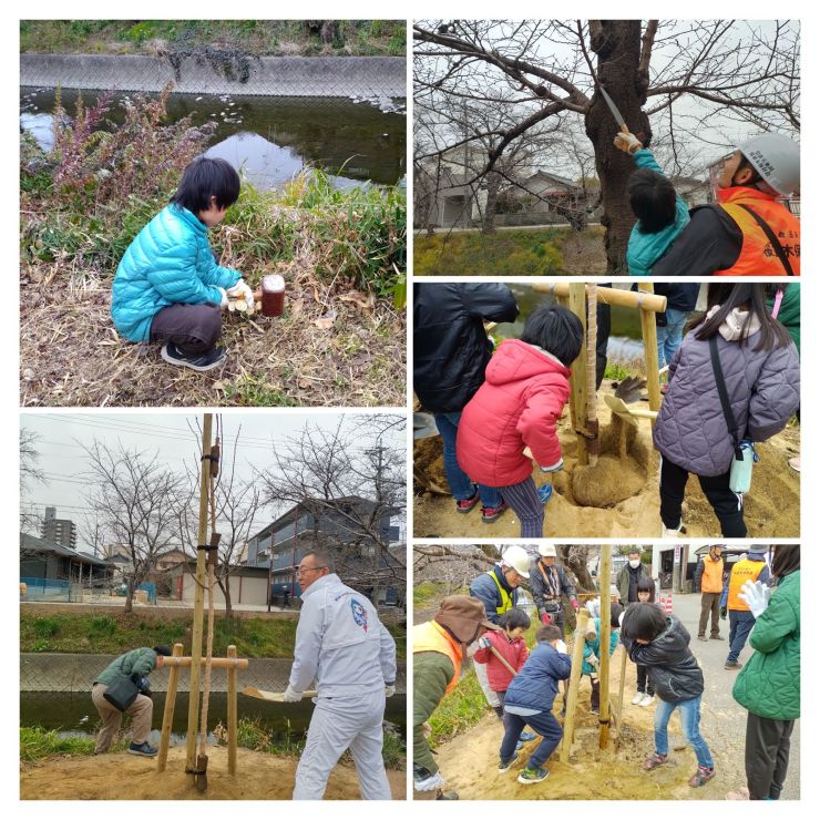 20260207 さくらを守るお仕事体験会