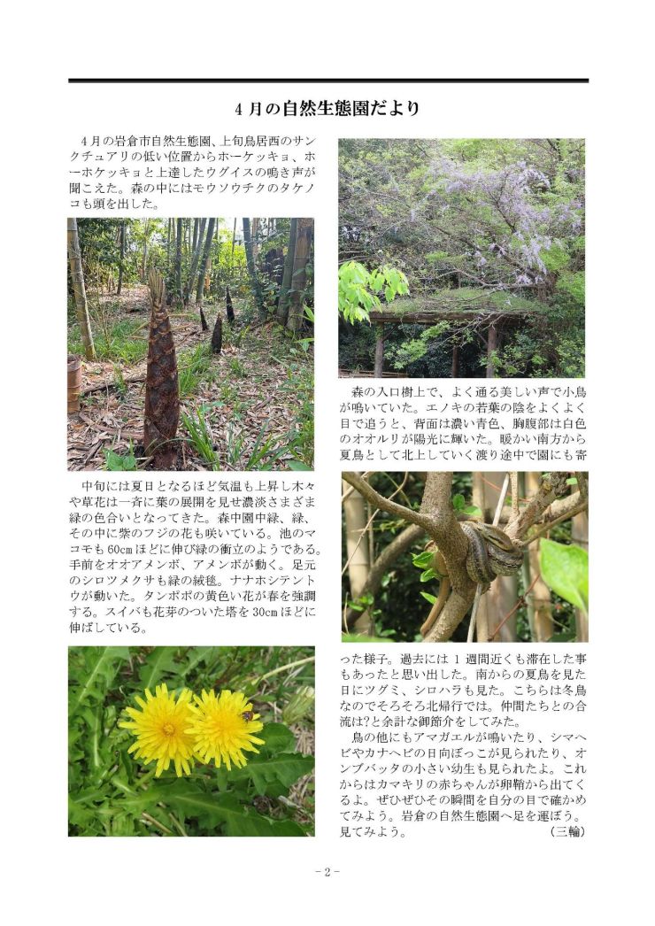 みぢかな自然第411号 2