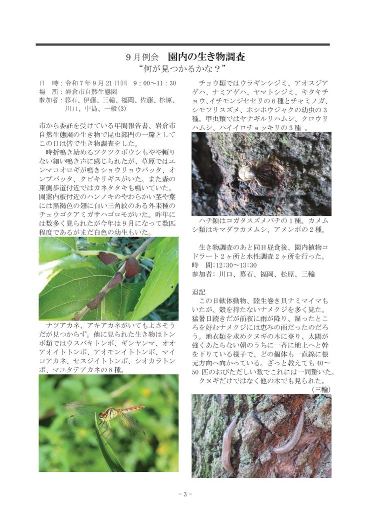  みぢかな自然第404号 3