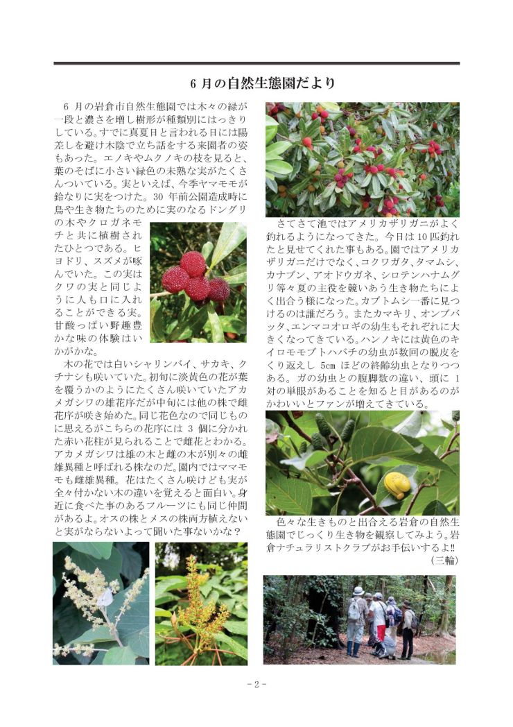 みぢかな自然第413号 2